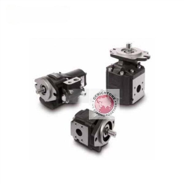 K.25*19 K.25*21 K.25*23 Шестеренчатый насос CASAPPA CASAPPA Gear Pump K.25*19 K.25*21 K.25*23